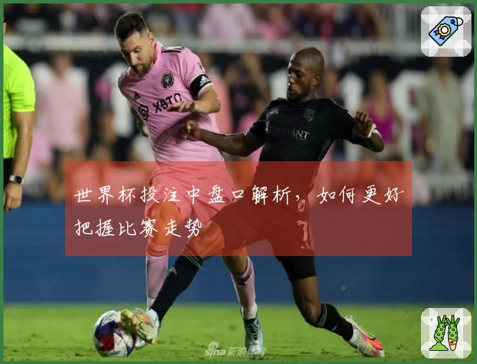 世界杯投注中盘口解析，如何更好把握比赛走势