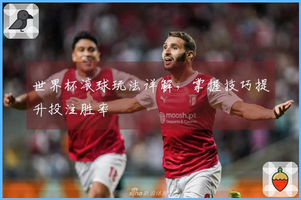 世界杯滚球玩法详解，掌握技巧提升投注胜率