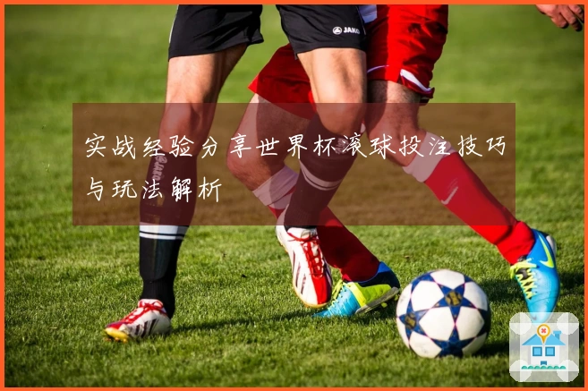 实战经验分享世界杯滚球投注技巧与玩法解析