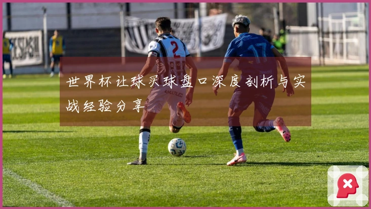 世界杯让球买球盘口深度剖析与实战经验分享