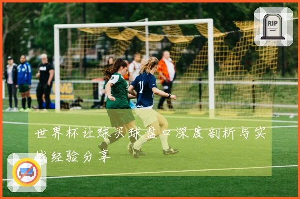世界杯让球买球盘口深度剖析与实战经验分享