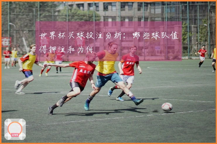 世界杯买球投注分析：哪些球队值得押注和为何